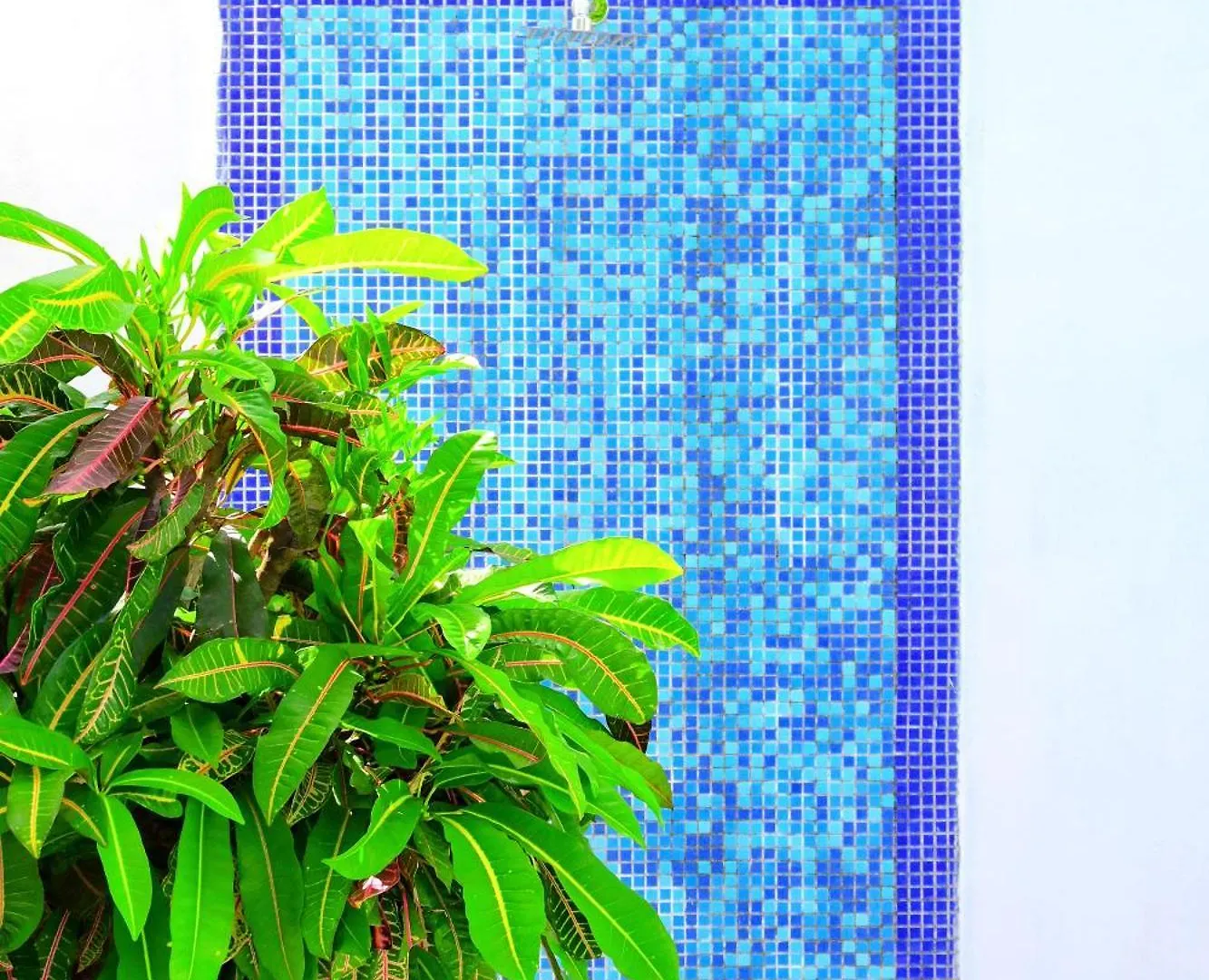 Casa Fatima Villa Cozumel Mexico